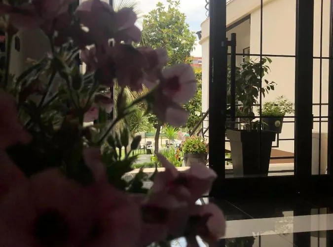 Garden Boutique Hotel 4*